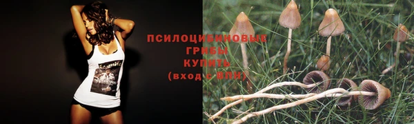 мескалин Приозерск