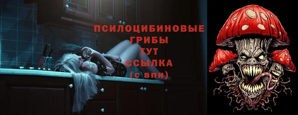 амф Нижний Тагил