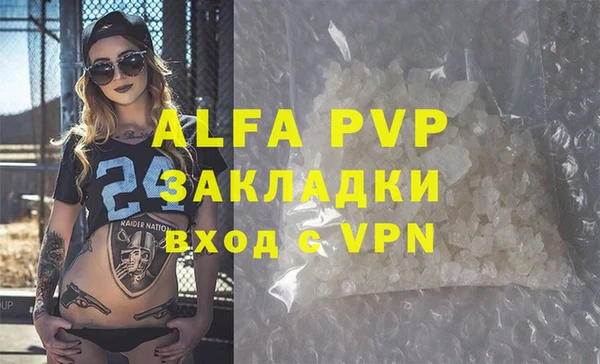 спиды Богданович